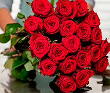 Enviar rosas a domicilio en Rebollar